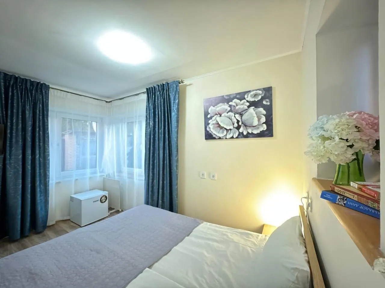 Hotel Signeev'S Villa Kyiv